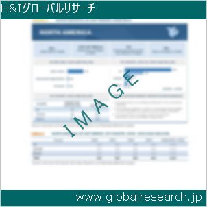 グローバルリサーチ調査レポートのイメージ